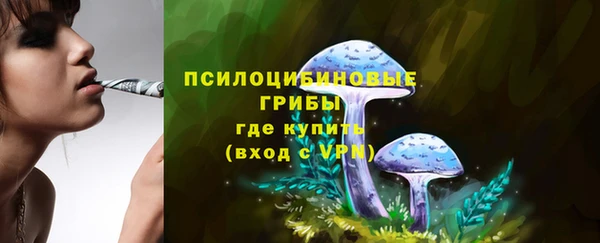 дурь Нефтекумск