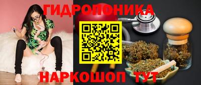 mix Сланцы
